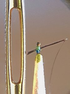 Angler, 1,4 mm klein neben einem Nadelöhr